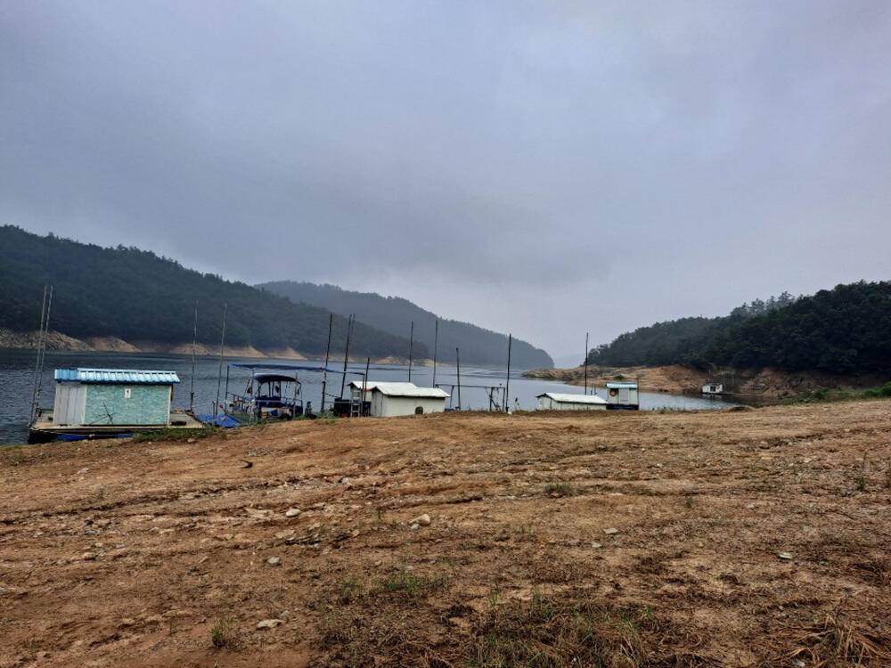 하천낚시터 4짜 붕어와 마릿수 서운낚시터 키로오버 장어 (조황조행기 - 특파원조황)