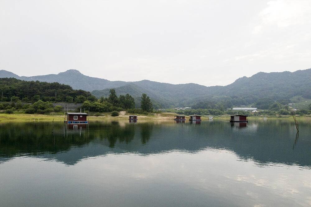 솔 하천 낚시터 붕어 조황 소식과 꽃바위 낚시터 장어 소식 (조황조행기 - 특파원조황)