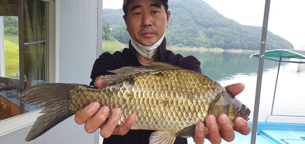 목벌 솔 낚시터 4짜 대물붕어 하천 낚시터 덩어리 소식 (조황조행기 - 특파원조황)