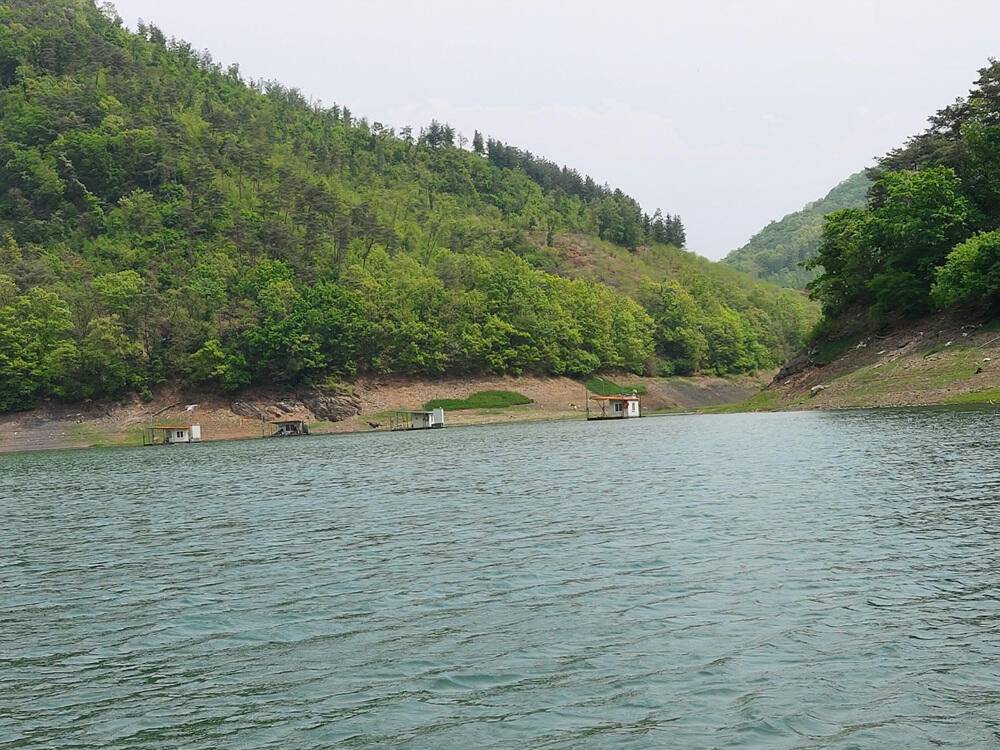 하천낚시터 허리급 붕어조황 소식 (조황조행기 - 특파원조황)