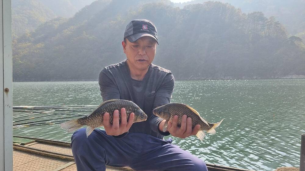 좋은 조황을 보인 충주호 명서 하천 낚시터 소식 (조황조행기 - 특파원조황)