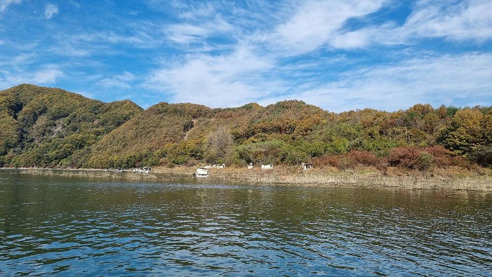 좋은 조황을 보인 충주호 명서 하천 낚시터 소식 (조황조행기 - 특파원조황)