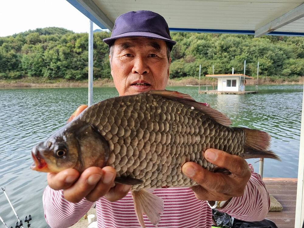 충주호 하천 낚시터 4짜 대물붕어 소식입니다 (조황조행기 - 특파원조황)