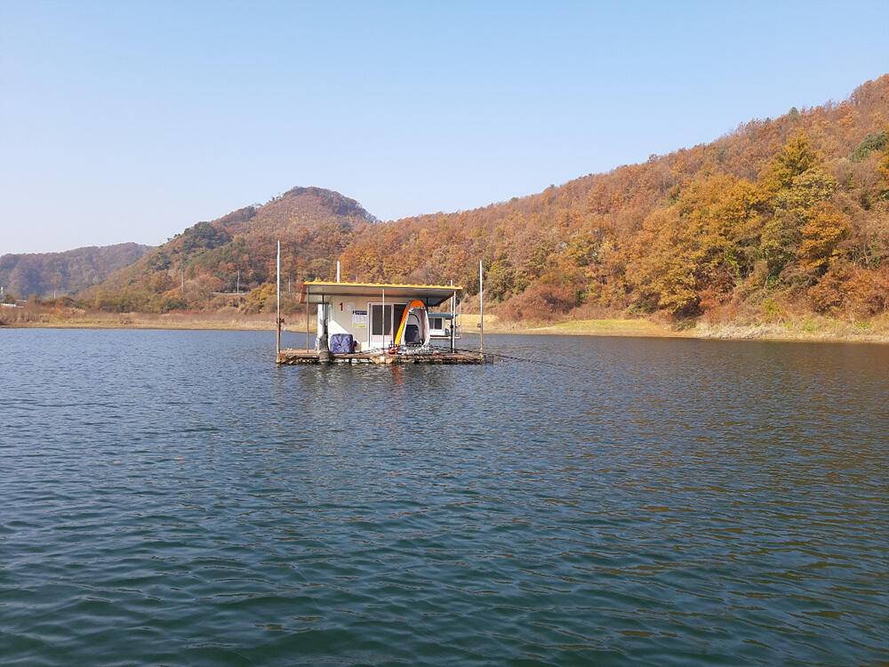 좋은 조황을 보인 충주호 명서 하천 낚시터 소식 (조황조행기 - 특파원조황)