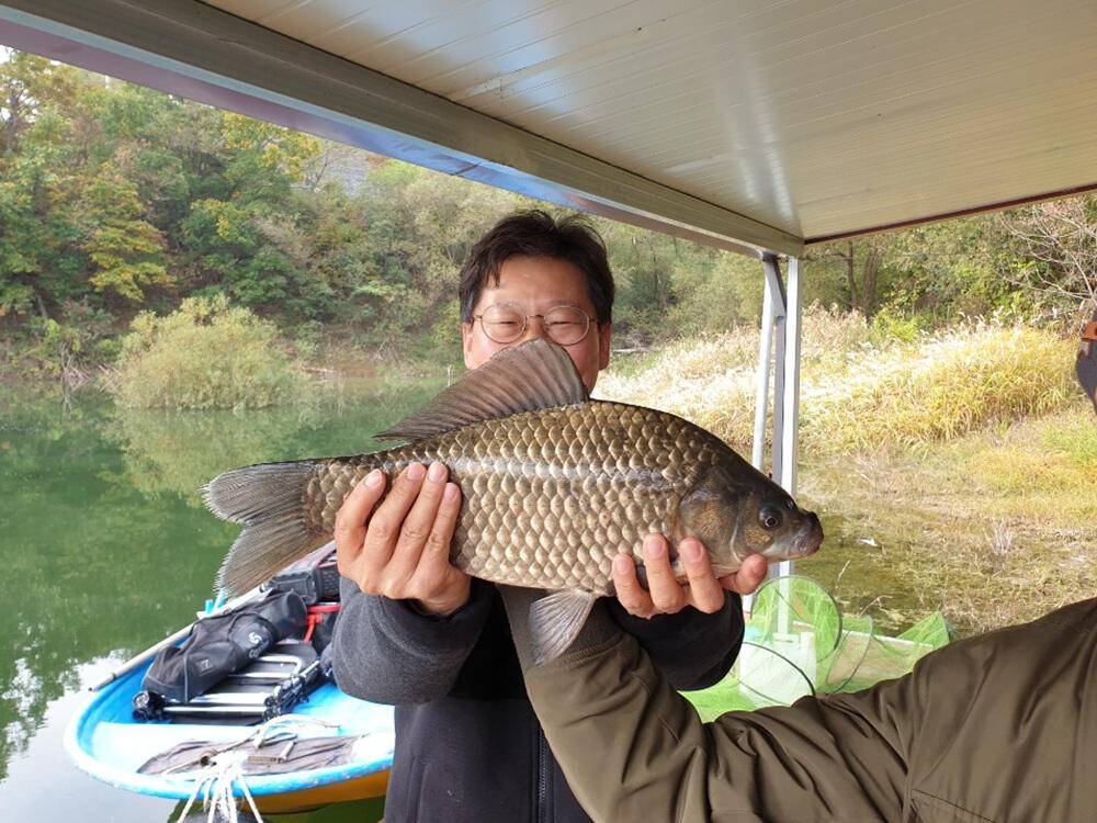 서운리 솔낚시터 445cm 대물붕어 소식 (조황조행기 - 특파원조황)