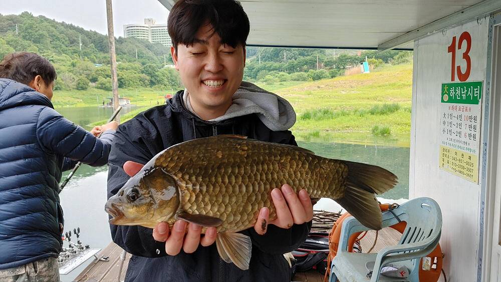 솔 낚시터 4짜 대물붕어 소식 하천낚시터 4짜 대물붕어덩어리급 소식입니다 (조황조행기 - 특파원조황)