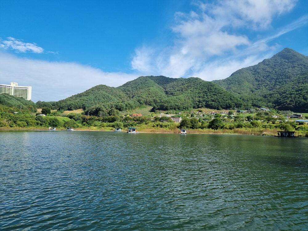 충주호 하천 낚시터 조황 소식입니다 (조황조행기 - 특파원조황)