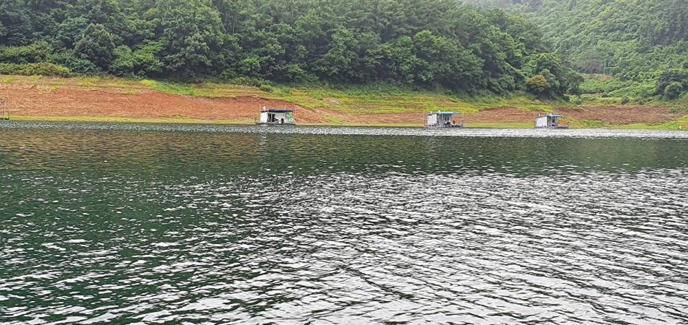 충주호 오름수위 예상 목벌낚시터 허리급 붕어 소식 (조황조행기 - 특파원조황)