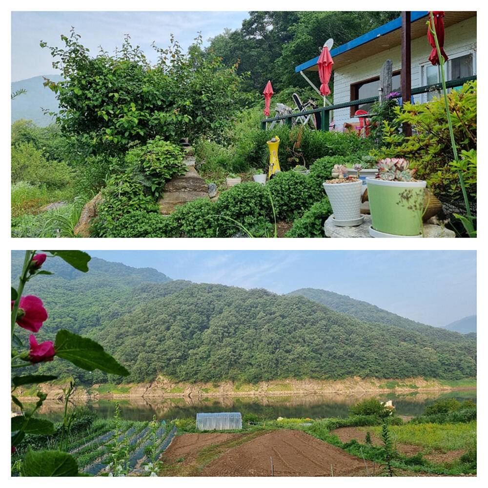 목벌 솔 명서 낚시터 내림수위에 터진 호조황 소식 (조황조행기 - 특파원조황)