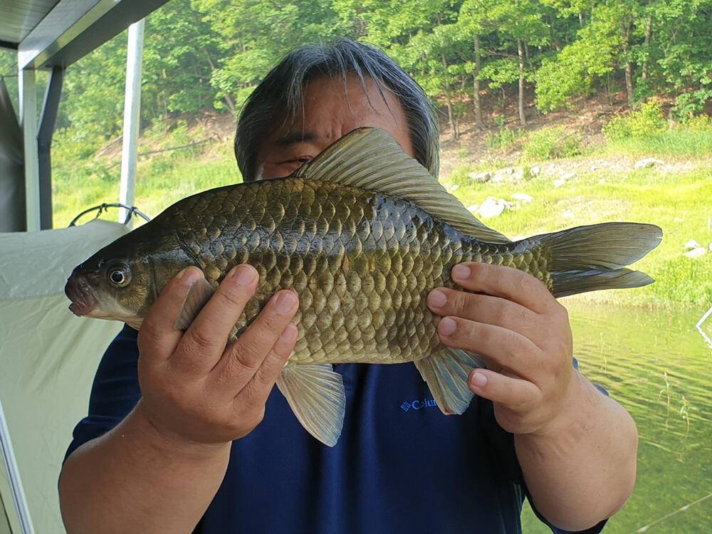 솔 하천 낚시터 붕어 조황 소식과 꽃바위 낚시터 장어 소식 (조황조행기 - 특파원조황)