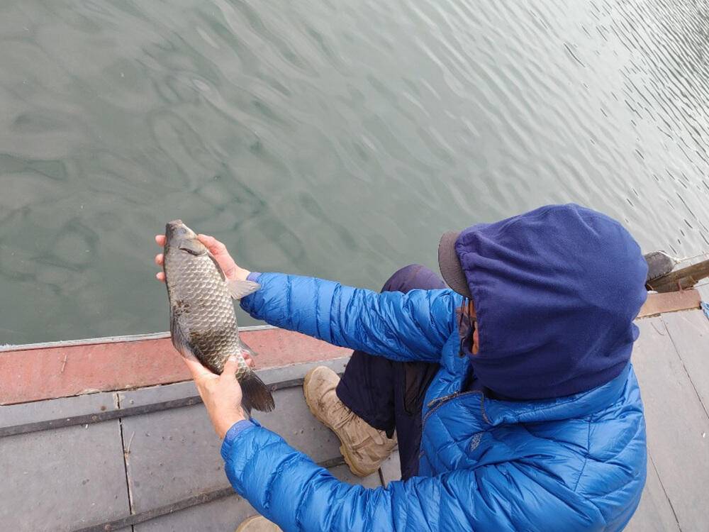 하천낚시터 42cm 대물붕어에 마릿수 조황소식 (조황조행기 - 특파원조황)