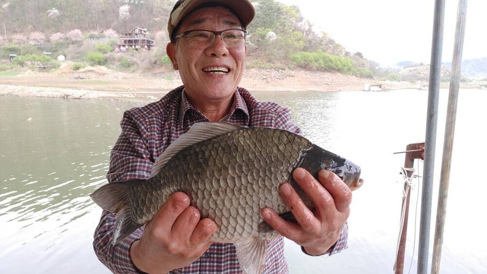 하천리 첫 개장에 4짜 대물붕어에 마릿수 조과도 있네요 (조황조행기 - 특파원조황)