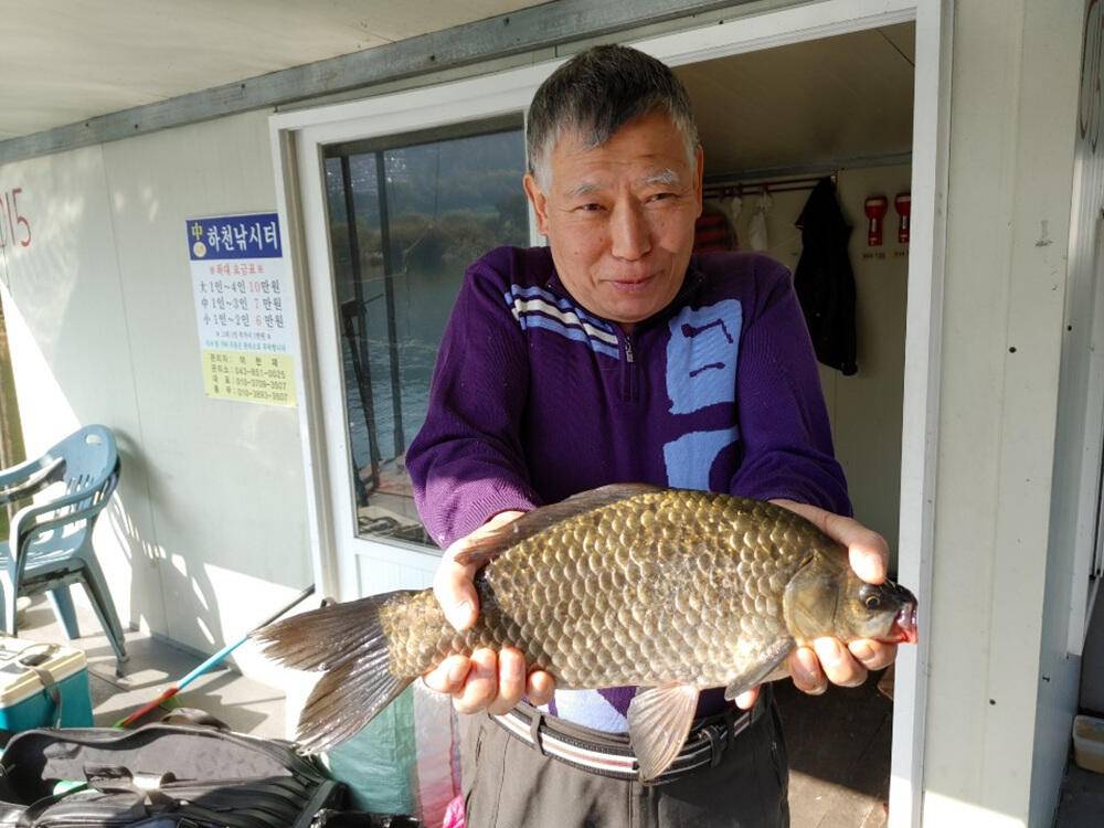 하천낚시터 44cm 대물붕어에 마릿수 조황입니다 (조황조행기 - 특파원조황)