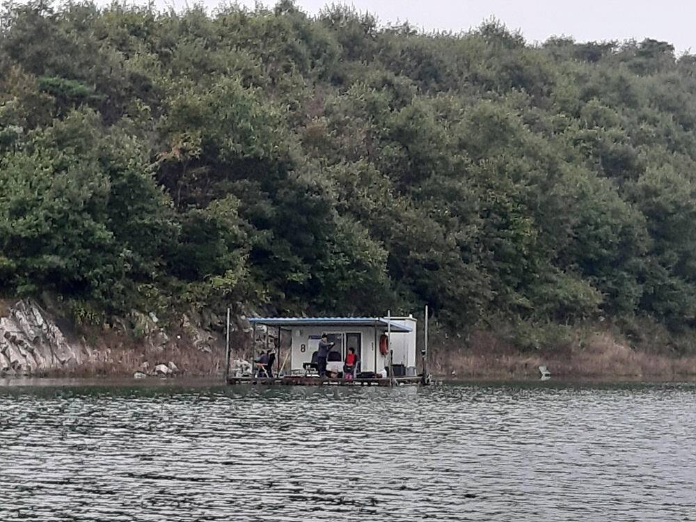 충주호 하천 낚시터 4짜 대물붕어 소식입니다 (조황조행기 - 특파원조황)