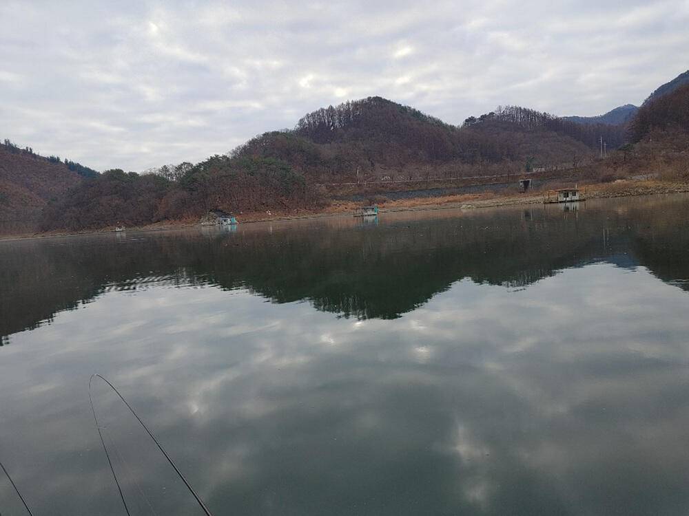 하천낚시터 42cm 대물붕어에 마릿수 조황소식 (조황조행기 - 특파원조황)