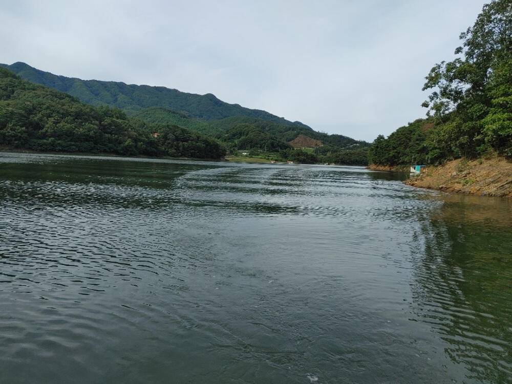 하천낚시터 조황 소식입니다 (조황조행기 - 특파원조황)