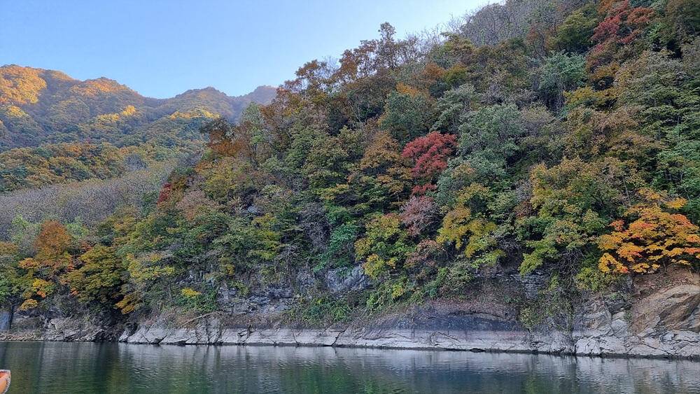 좋은 조황을 보인 충주호 명서 하천 낚시터 소식 (조황조행기 - 특파원조황)