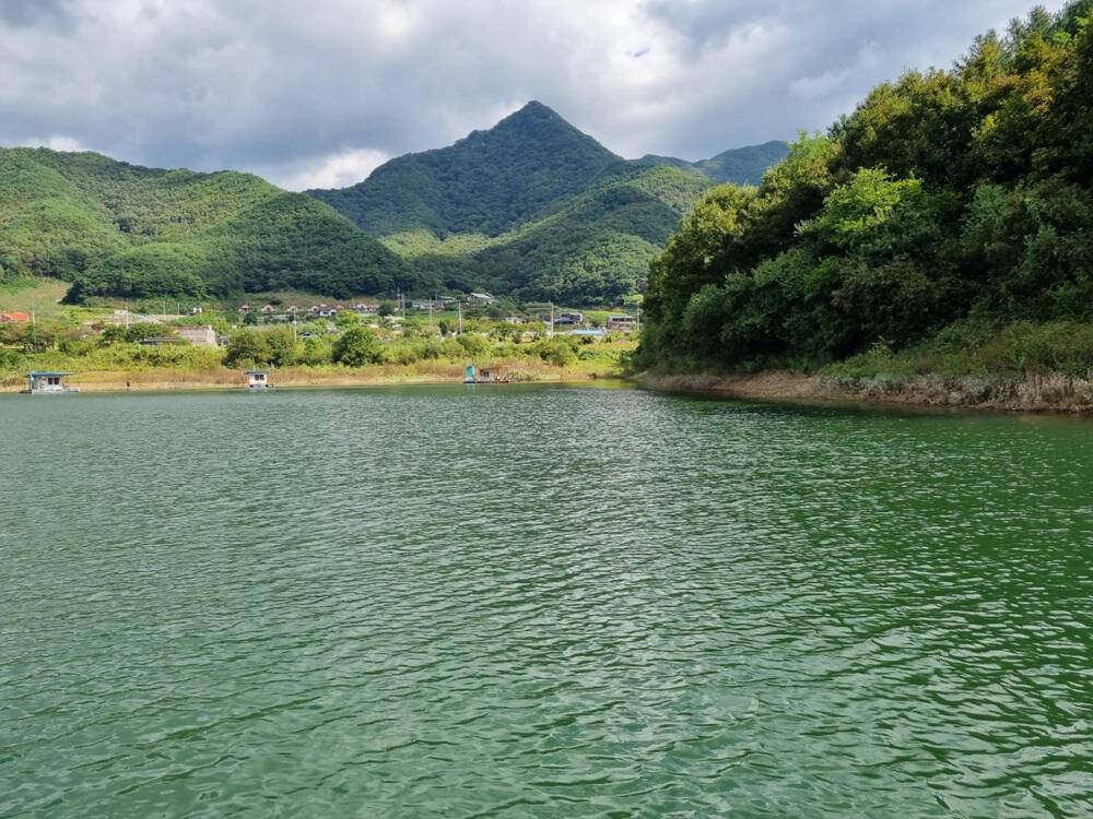 충주호 하천 낚시터 4짜 붕어 소식입니다 (조황조행기 - 특파원조황)