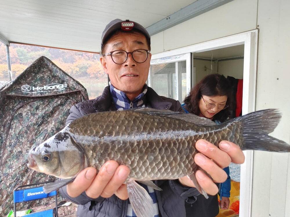 하천낚시터 43cm 대물붕어 소식입니다 (조황조행기 - 특파원조황)