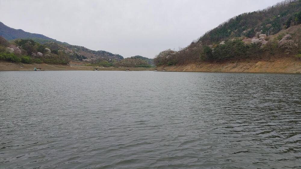 하천리 첫 개장에 4짜 대물붕어에 마릿수 조과도 있네요 (조황조행기 - 특파원조황)