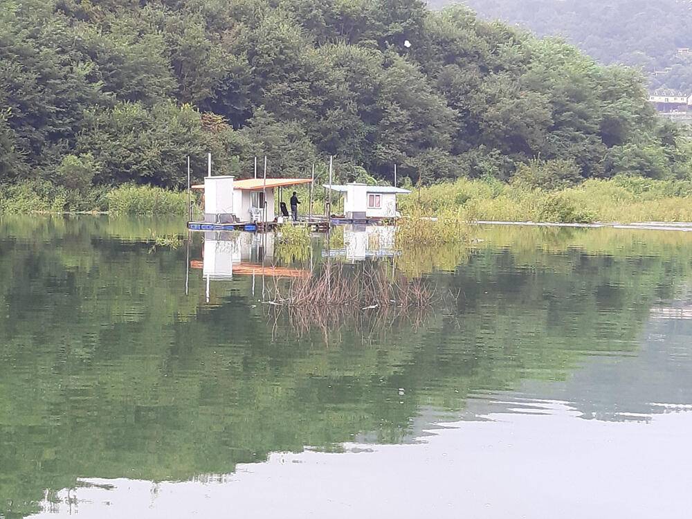 하천 낚시터 4짜 붕어 조황 소식입니다 (조황조행기 - 특파원조황)