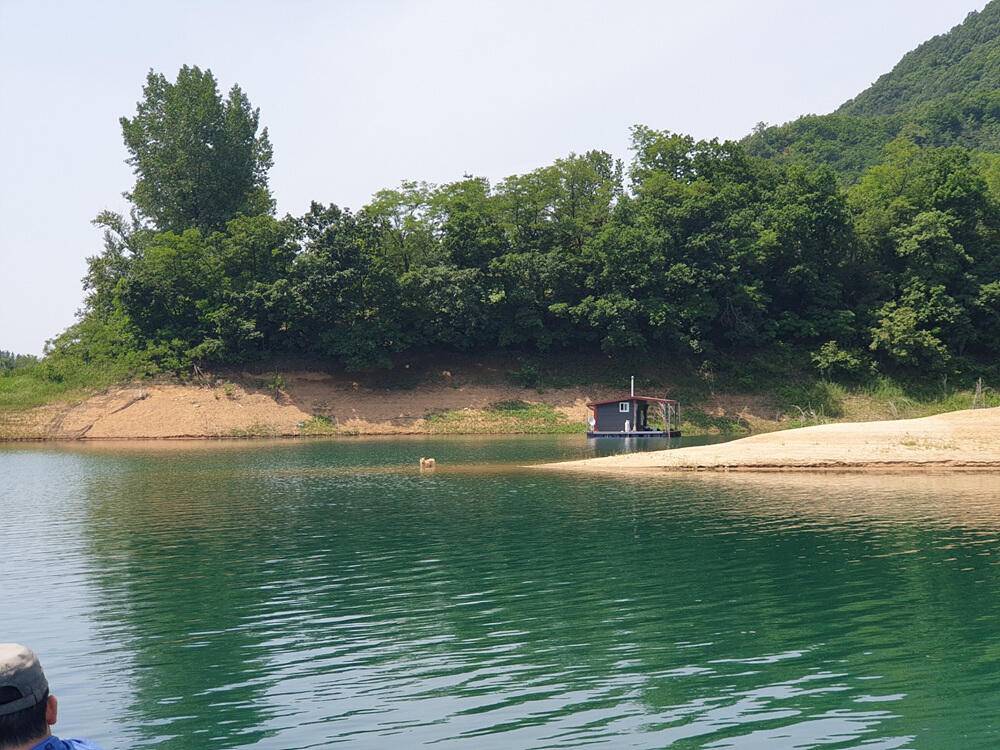 솔 하천 낚시터 붕어 조황 소식과 꽃바위 낚시터 장어 소식 (조황조행기 - 특파원조황)