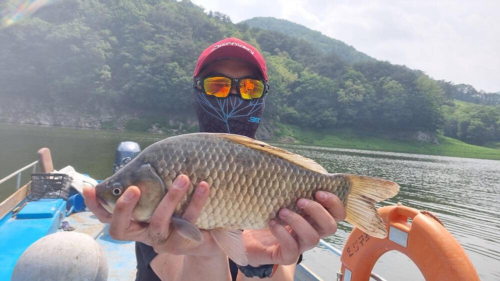 명서낚시터 4짜와 마릿수 붕어 장어 종점 낚시터 42cm 대물붕어 조황 소식입니다 (조황조행기 - 특파원조황)