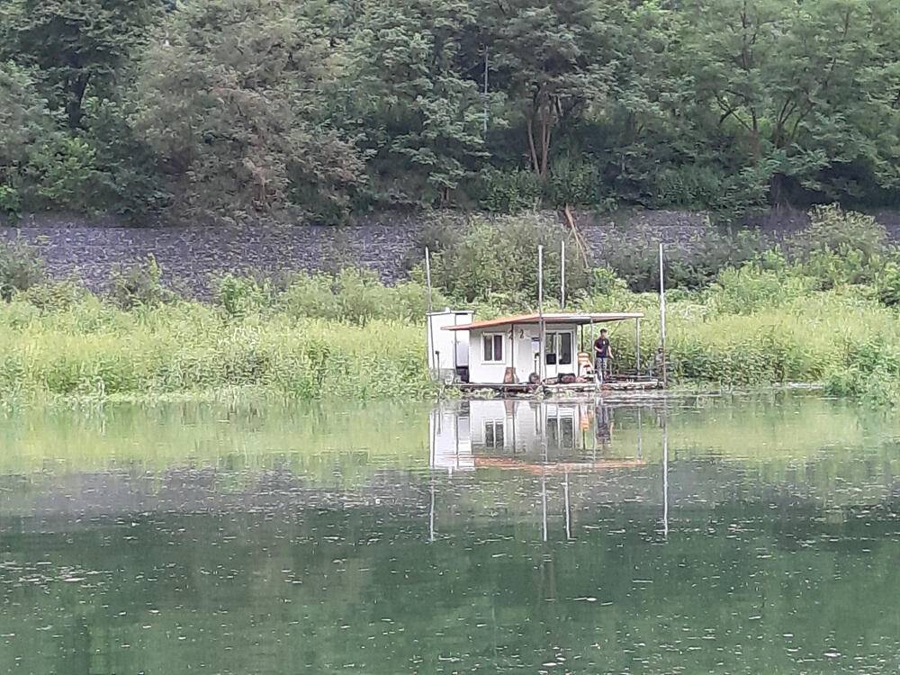 충주호 하천낚시터 4짜 붕어 소식입니다 (조황조행기 - 특파원조황)