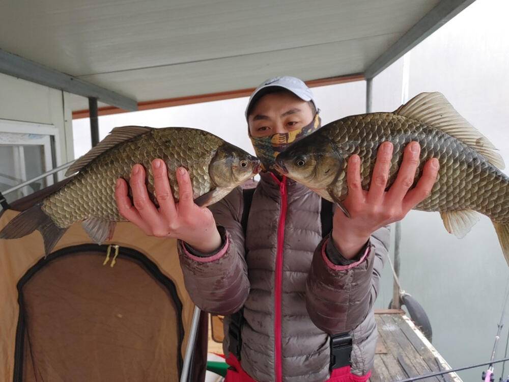 하천낚시터 45 41cm 대물붕어 소식입니다 (조황조행기 - 특파원조황)