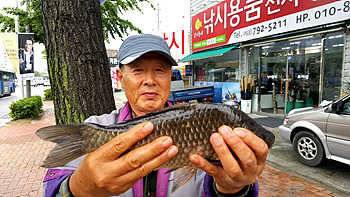 시즌의 절정풍성한 5월중순의 조황안내 (조황조행기 - 특파원조황)