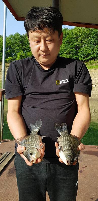 충주호 하천 낚시터 조황 소식입니다 (조황조행기 - 특파원조황)