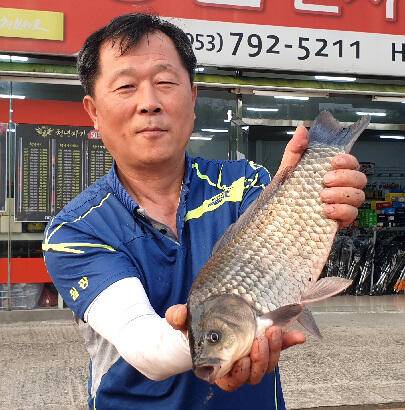 삼복지절 조황안내늦 장마에 라도 거는 기대 (조황조행기 - 특파원조황)