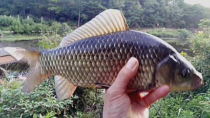 pro_johwang_4a878_091248_59847.jpg