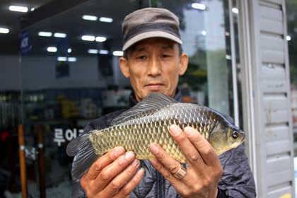 5월 중순에 드리는 조황안내 입니다 (조황조행기 - 특파원조황)