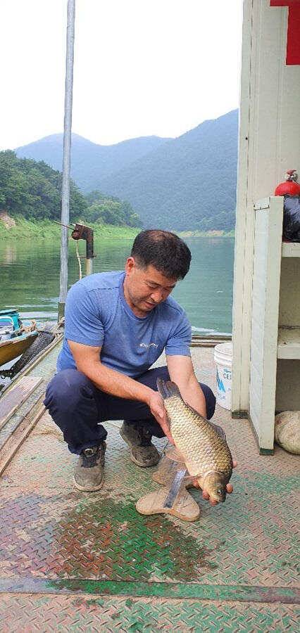 명서낚시터 44cm 대물붕어 소식 (조황조행기 - 특파원조황)