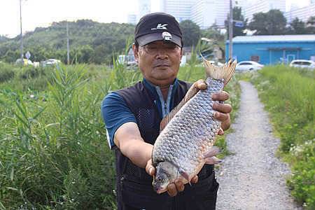 한여름에 드리는 출조 안내 입니다 (조황조행기 - 특파원조황)