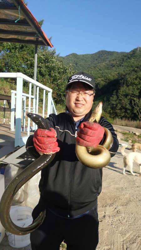 목벌리 키로급 대물장어 소식 (조황조행기 - 특파원조황)