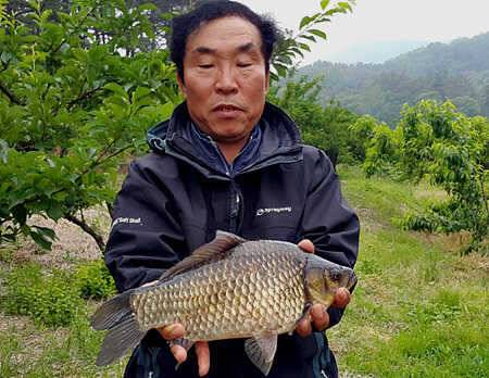 연휴를 맞은 대구경산권 조황 소식입니다 (조황조행기 - 특파원조황)
