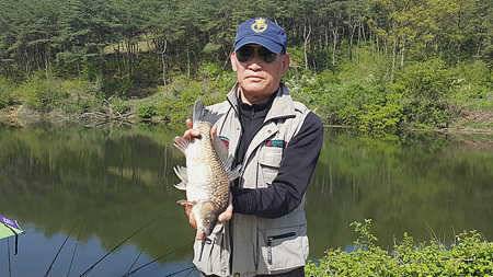 밤낚시의 계절이 돌아 왔습니다 (조황조행기 - 특파원조황)