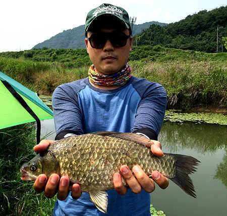 닝카가 비켜가는 주말조황 안내 입니다 (조황조행기 - 특파원조황)