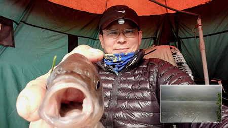 배수철을 앞둔 경산권 소식 입니다 (조황조행기 - 특파원조황)