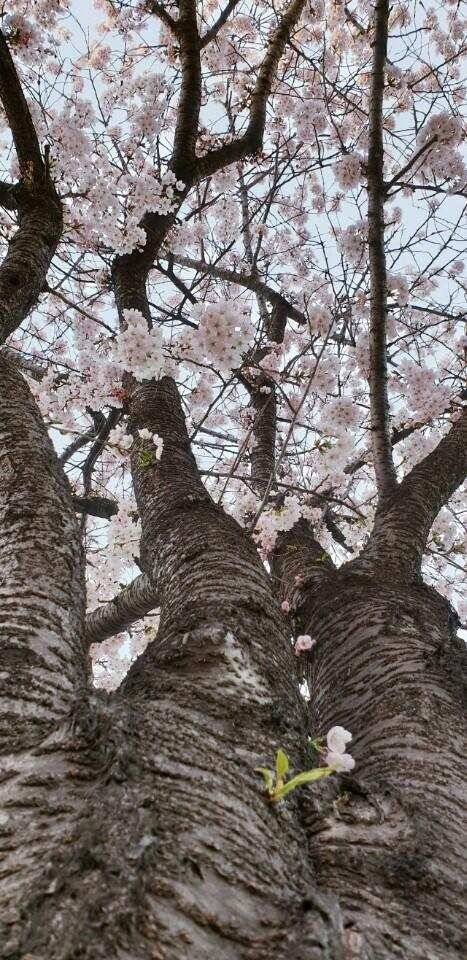 남양호평택호 대박 입니다 (조황조행기 - 특파원조황)