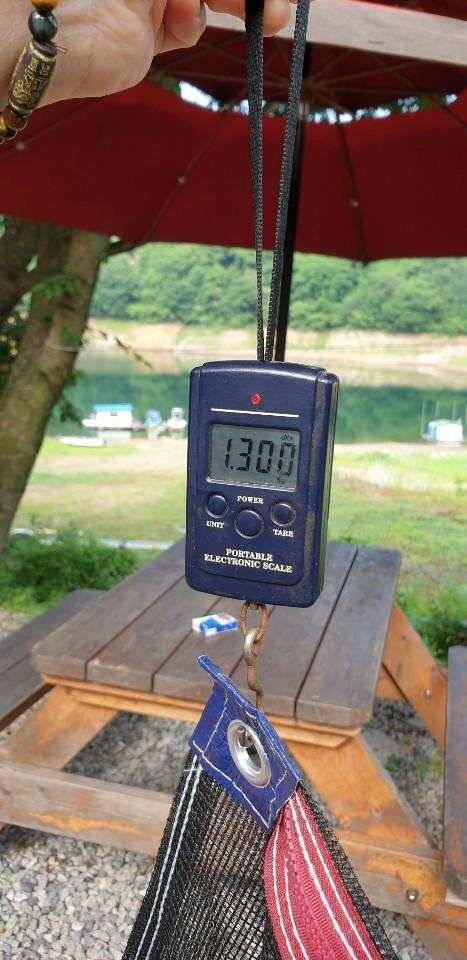 솔 42 43cm 대물붕어 목벌에도 4짜 꽃바위 키로급장어 허리급 붕어조황 (조황조행기 - 특파원조황)