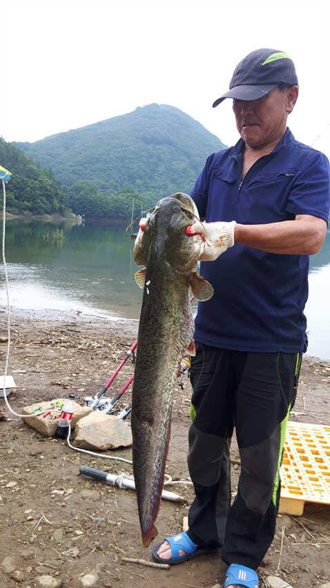 목벌 하천낚시터 허리급에 마릿수 조황 (조황조행기 - 특파원조황)