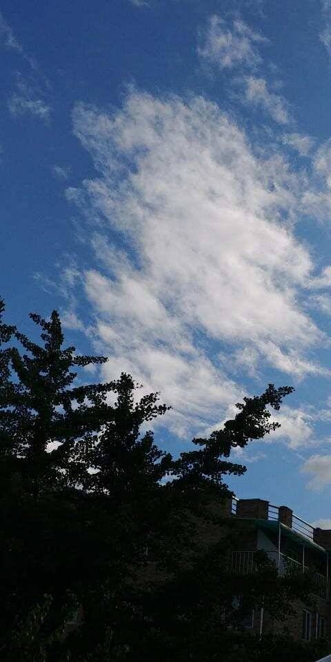 평택호남양호 조황 (조황조행기 - 특파원조황)