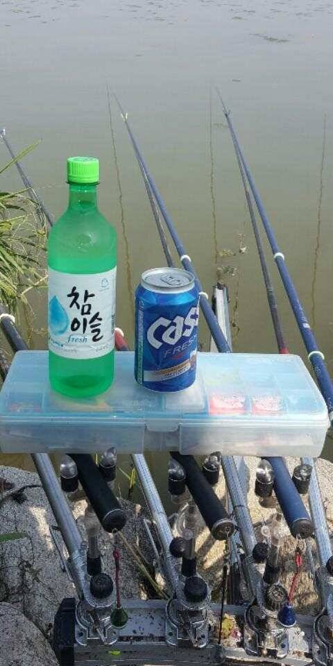 남양호평택호조황 (조황조행기 - 특파원조황)
