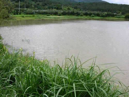 청도권 구산지안태지등등 (조황조행기 - 특파원조황)