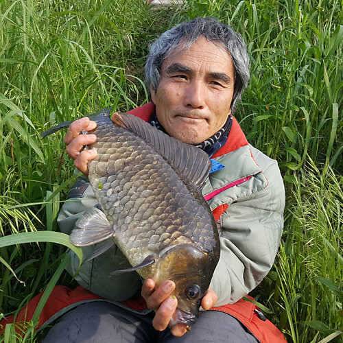 청도권 지난주 조황입니다 (조황조행기 - 특파원조황)