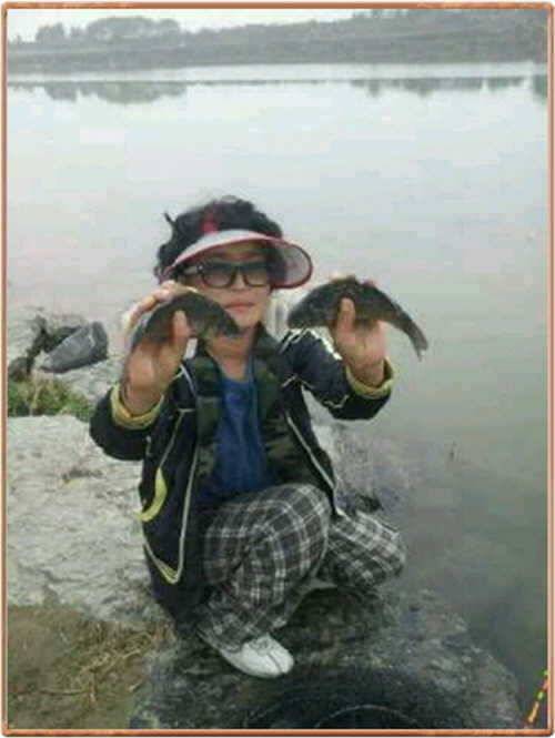 진위천 조황 소식 (조황조행기 - 특파원조황)