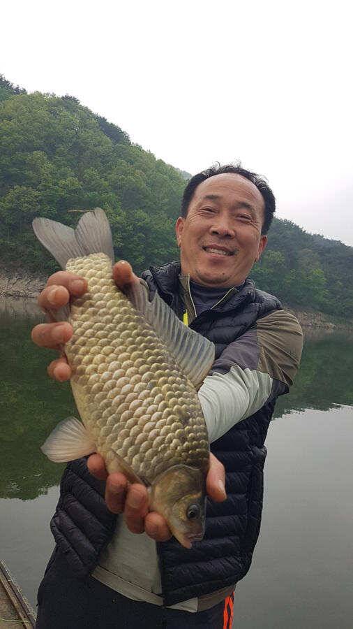 명서낚시터 4짜 대물붕어 조황입니다 (조황조행기 - 특파원조황)